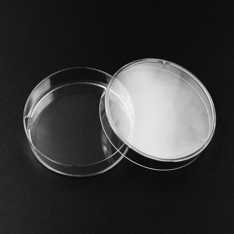 Petri Dishes